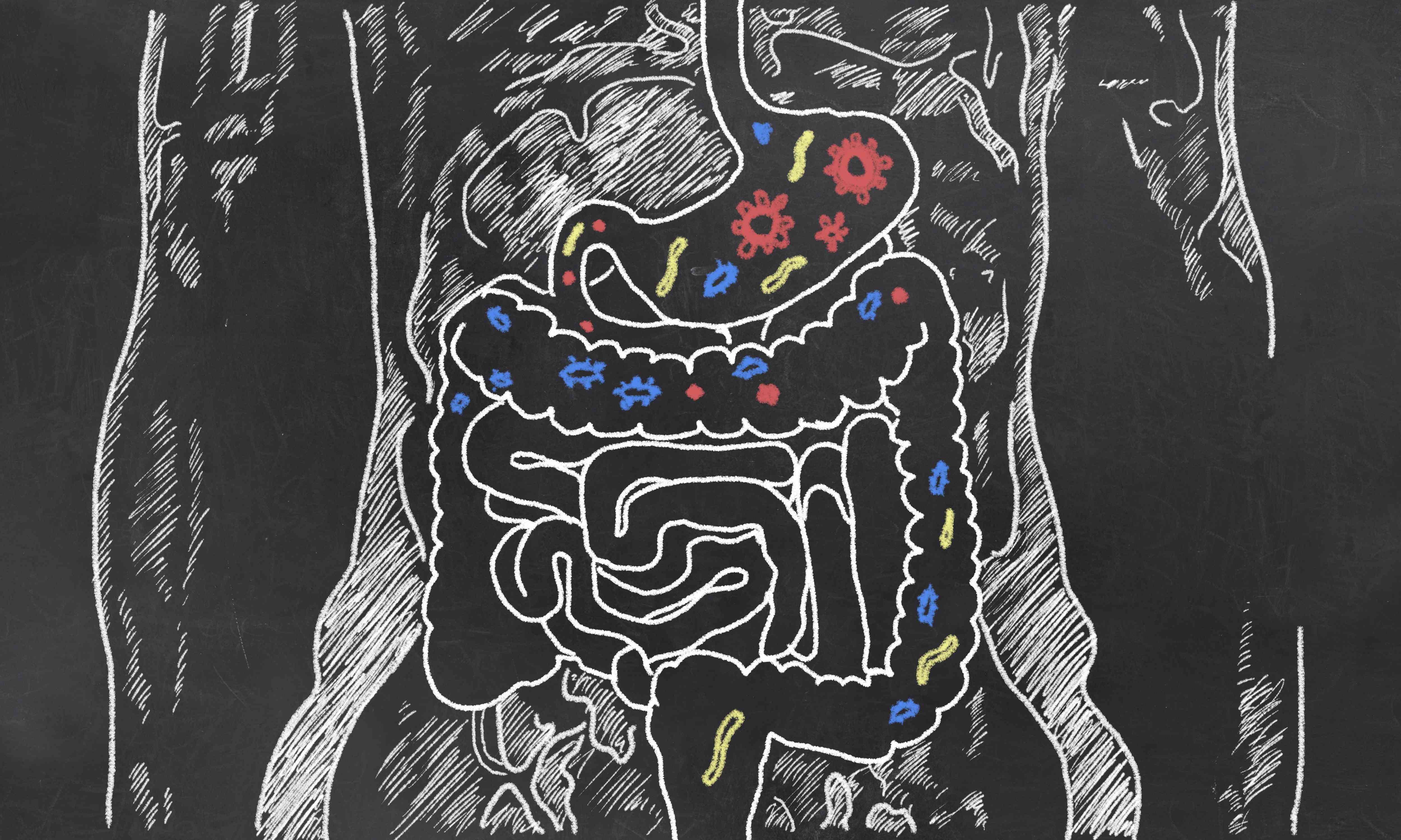 6 Signs that Your Probiotics are Working